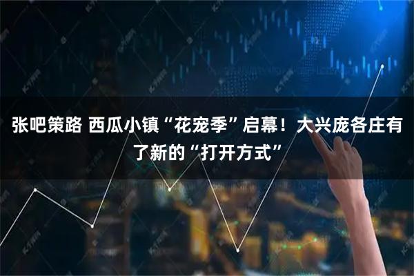 张吧策路 西瓜小镇“花宠季”启幕！大兴庞各庄有了新的“打开方式”
