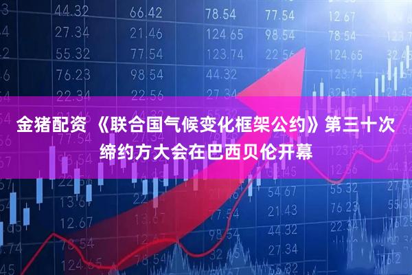 金猪配资 《联合国气候变化框架公约》第三十次缔约方大会在巴西贝伦开幕