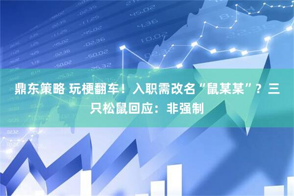 鼎东策略 玩梗翻车！入职需改名“鼠某某”？三只松鼠回应：非强制