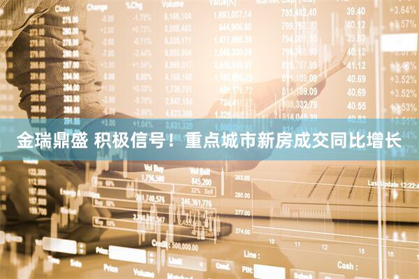 金瑞鼎盛 积极信号！重点城市新房成交同比增长