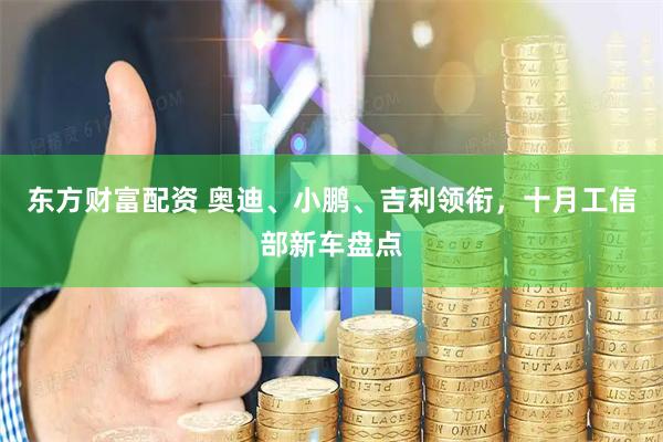 东方财富配资 奥迪、小鹏、吉利领衔，十月工信部新车盘点