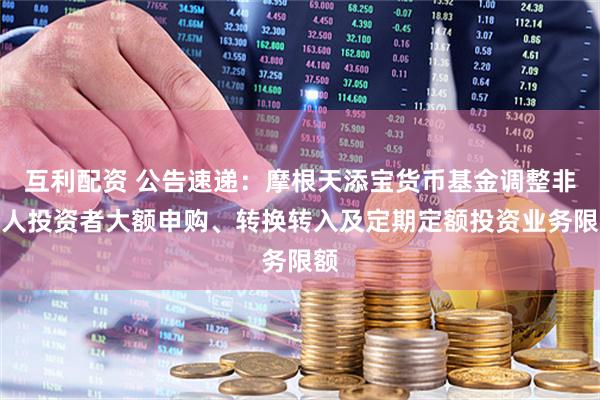互利配资 公告速递：摩根天添宝货币基金调整非个人投资者大额申购、转换转入及定期定额投资业务限额